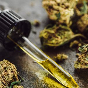 close up view of medical marijuana buds, bottle and dropper with hemp oil on stone surface close up view of medical marijuana buds, bottle and dropper with hemp oil on stone surface